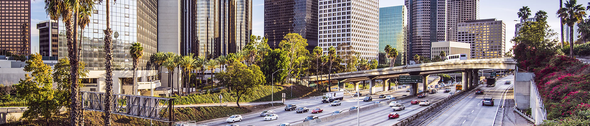 Dental office interior details